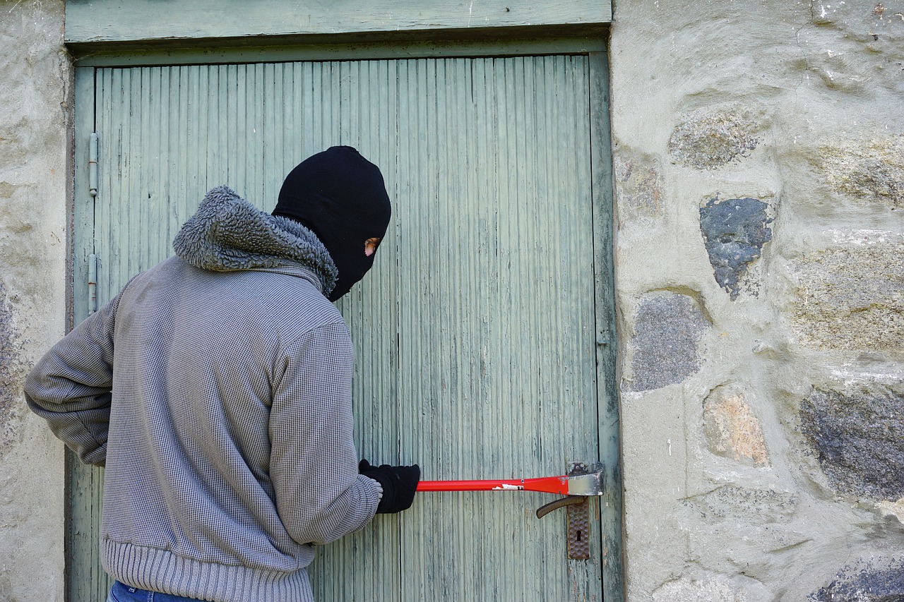 ladro che ruba in casa